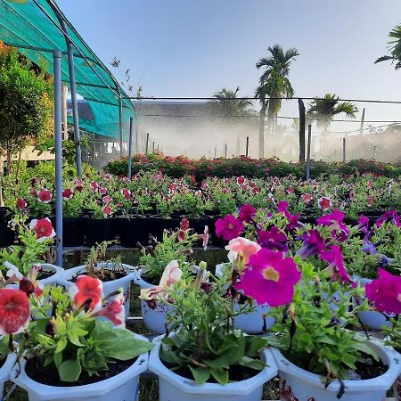 Flower & Frog Homestay Sa Dec ภายนอก รูปภาพ