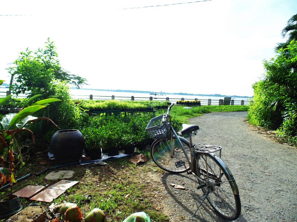 Flower & Frog Homestay Sa Dec ภายนอก รูปภาพ