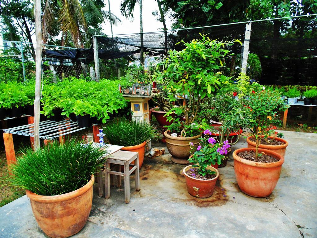 Flower & Frog Homestay Sa Dec ภายนอก รูปภาพ