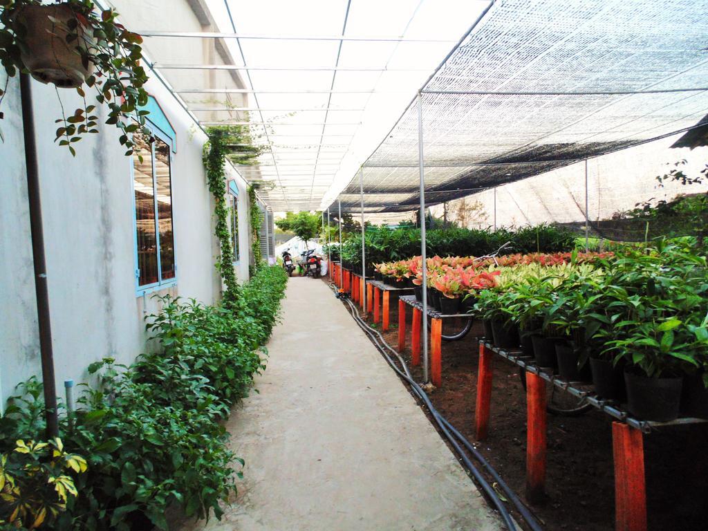 Flower & Frog Homestay Sa Dec ภายนอก รูปภาพ