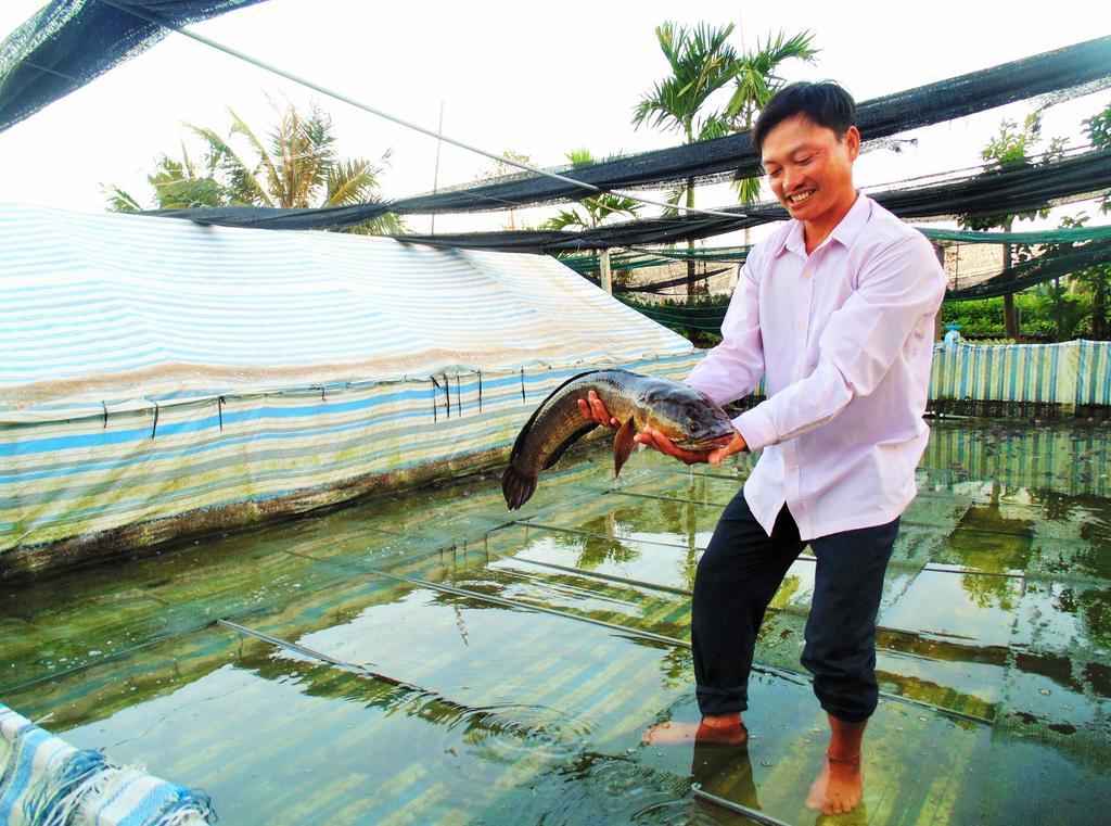 Flower & Frog Homestay Sa Dec ภายนอก รูปภาพ